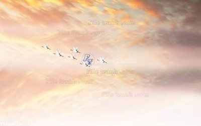 File tranh File in tranh tường 3D FT208675 (bản gốc) treo phòng ăn