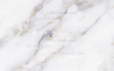 Tải file File in tranh tường 3D FT208792 (ảnh gốc) in tráng gương