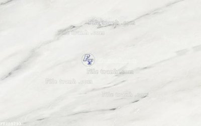 Tải file File in tranh tường 3D FT208793 (gốc) chủ đề hoa sen