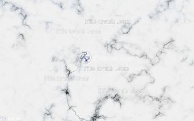 Download file File in tranh tường 3D FT208799 (gốc) in mica ốp bếp