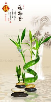 File tranh File in tranh tường 3D FT209165 (gốc) chủ đề tĩnh vật