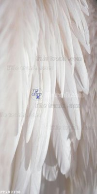 File ảnh File in tranh tường 3D FT209198 (gốc) cho trang trí nhà hàng