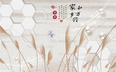 File gốc File in tranh tường 3D FT209960 (cho in 3D) độc đáo