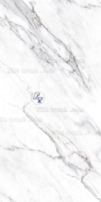 Tải file gốc File in tranh tường 3D FT210102 (in khổ lớn) không vỡ