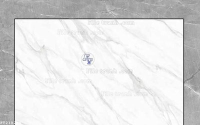 File in lụa File in tranh tường 3D FT210264 (hoa văn) File in tranh tường 3D FT210264