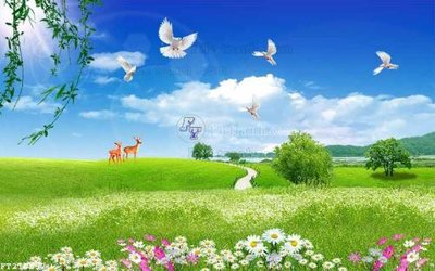 File tranh File in tranh tường 3D FT210557 (gốc) in backlit film