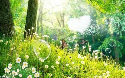 File in ấn File in tranh tường 3D FT210573 chuyên nghiệp