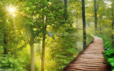 File tranh File in tranh tường 3D FT211106 (bản gốc) in lụa 5D