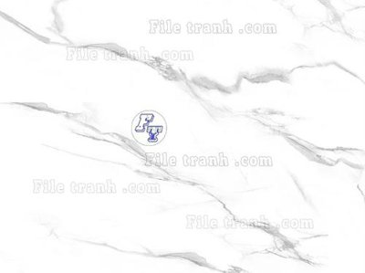 File tranh in mica File in tranh tường 3D FT211376 (độ phân giải cao)