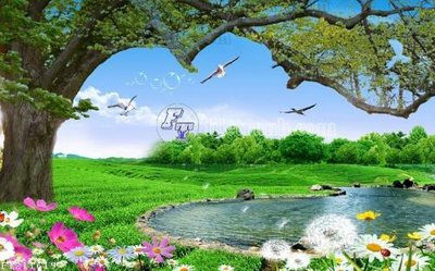 File in mica File in tranh tường 3D FT211619 (ảnh gốc) đẹp