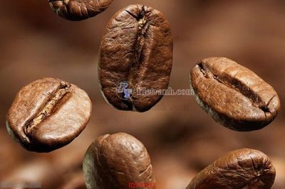 Tải file File psd tường quán cà phê FT2217 (gốc) làm file quảng cáo