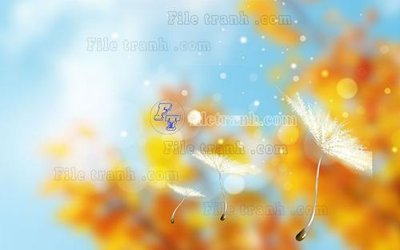 File gốc File in tranh tường hiện đại FT22377 (phong cách) tối giản