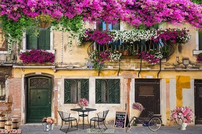 File tranh File psd tường quán cà phê FT2248 (ảnh gốc) độc quyền