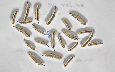 File gốc File in tranh tường hiện đại FT22594 (in lụa) trang trí tường