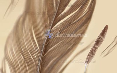 File in mica File in tranh tường hiện đại FT23381 (bản gốc) siêu trong