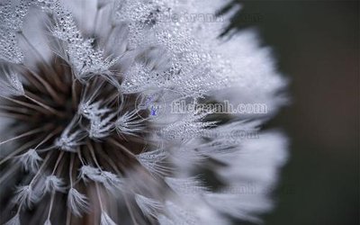 File tranh File in tranh tường hiện đại FT23413 (gốc) chủ đề thành phố