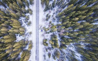 Hình ảnh file gốc in trần nhà File in tranh tường hiện đại FT23414