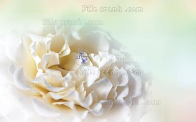 File gốc File in tranh tường hiện đại FT23425 (phong cách) tối giản