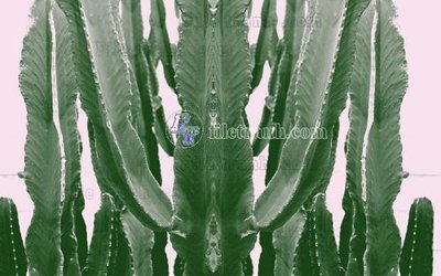 Tải file File in tranh tường hiện đại FT23498 (PSD) cho in tranh kính