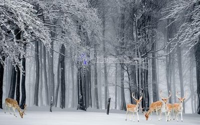 Download file tranh File in tranh tường hiện đại FT23533 (file gốc PSD)