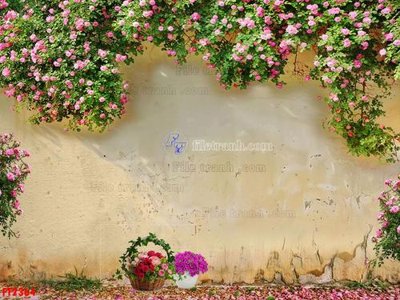 Tải về file gốc File psd tường quán cà phê FT2364 (dùng cho in quảng cáo)