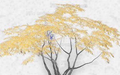 File tranh File in tranh tường hiện đại FT23920 (bản gốc) treo tường