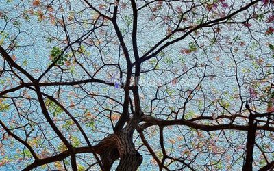 File gốc File in tranh tường hiện đại FT23976 (cho in ấn) độc quyền