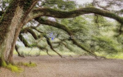 Tải file gốc File in tranh tường hiện đại FT23983 (in tráng gương) cao cấpFile gốc File in tranh tường hiện đại FT23983 (in ấn) phiên bản độc quyền