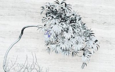 File gốc in ấn File in tranh tường hiện đại FT24003 chuẩn màu CMYK