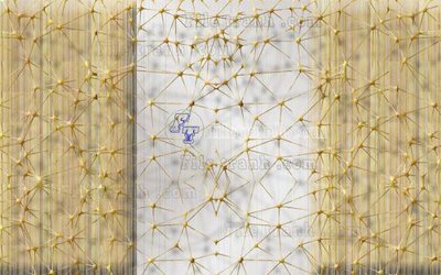 File gốc File in tranh tường hiện đại FT24015 (in tráng gương) sang trọng