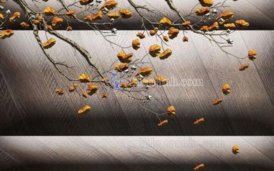 File gốc in ấn File in tranh tường hiện đại FT24323 chuẩn màu CMYK