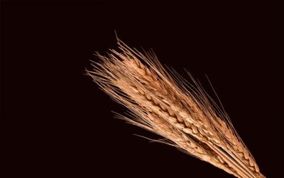 Tệp tin gốc File in tranh tường hiện đại FT24576 (chất lượng) File in tranh tường hiện đại FT24576