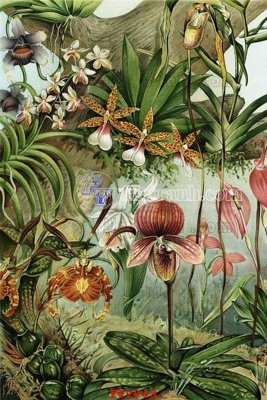 Download file File psd tường quán cà phê FT2843 (gốc) cho xưởng in