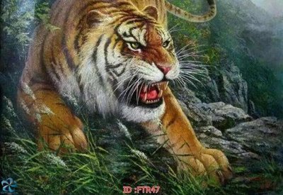 Tải file File gốc tranh rồng hổ FTR47 (gốc) in ấn ngay lập tức