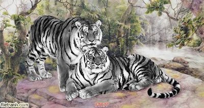File gốc File gốc tranh rồng hổ FTR77 (Filetranh.com) File gốc tranh rồng hổ FTR77