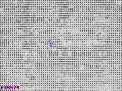 File ảnh File in tranh tường hiện đại FTS579 (gốc) trang trí khách sạn