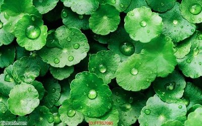 File tranh Tranh tường 3d tối giản hiện đại FTTG7085 (gốc) in trên kính