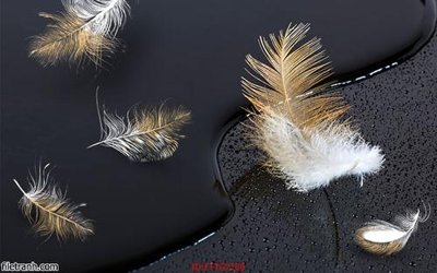 Ảnh gốc Tranh tường 3d tối giản hiện đại FTTG7109 (độ nét cao) in mica