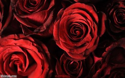 Tải file gốc Tranh tường 3d tối giản hiện đại FTTG7121 (bản PSD) chỉnh sửa được