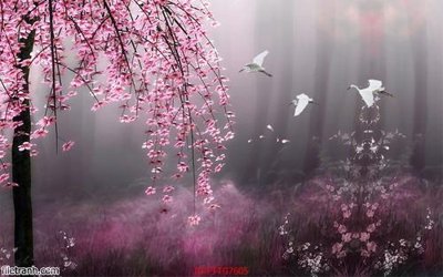 File tranh Tranh tường 3d tối giản hiện đại FTTG7605 (ảnh gốc) không bị mờ