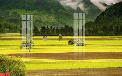 Tải file gốc File tranh gốc họa tiết giấy dán tường GGT287 (in không vỡ ảnh)