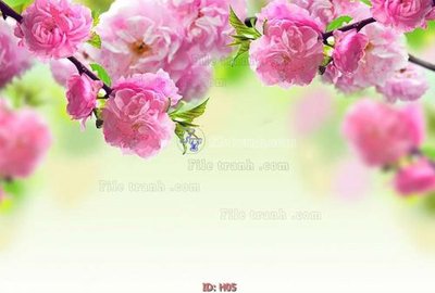 File gốc file tranh hoa H05 (AI/EPS) cho in ấn