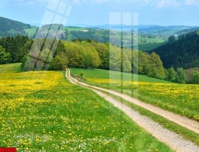 File gốc File tranh gốc in tranh tường nền tổng hợp H10008 (in mica) cắt laser