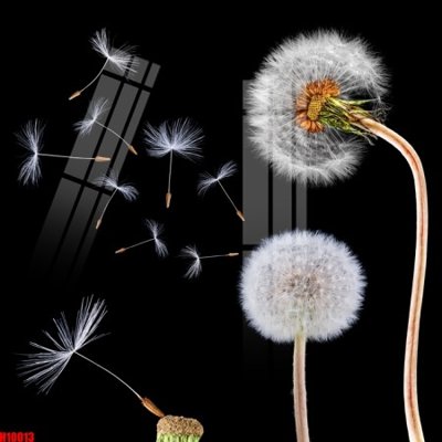 File gốc File tranh gốc in tranh tường nền tổng hợp H10013 (PSD/TIFF) độ phân giải cao