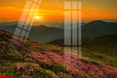 Ảnh gốc file in lụa File tranh gốc in tranh tường nền tổng hợp H10039 chi tiết