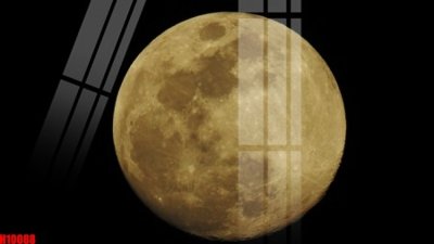 Tải file File tranh gốc in tranh tường nền tổng hợp H10088 (ảnh gốc) file AI/EPS