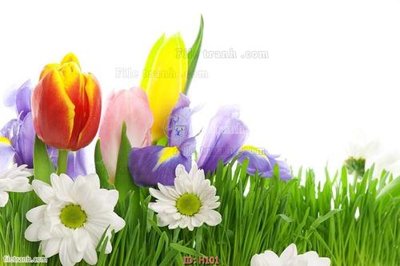 Tải file file tranh hoa H101 (gốc) in nhanh