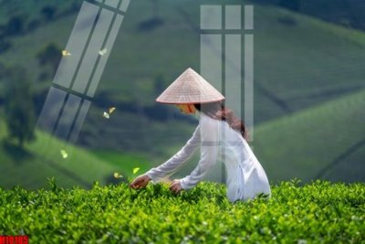 File ảnh File tranh gốc in tranh tường nền tổng hợp H10185 (gốc) cho trang trí nhà hàng