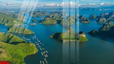 File ảnh File tranh gốc in tranh tường nền tổng hợp H10190 (gốc) in Hiflex