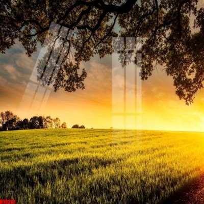 File gốc File tranh gốc in tranh tường nền tổng hợp H10201 (trang trí) phòng ngủ